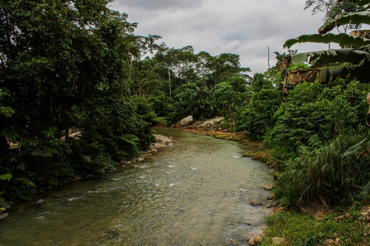 Ingaru Lodge & Reserve Pano Extérieur photo